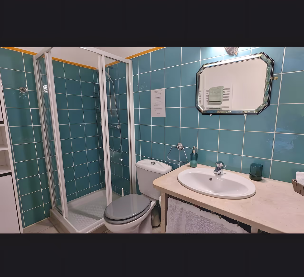 Salle de bain avec douche spacieuse du gîte